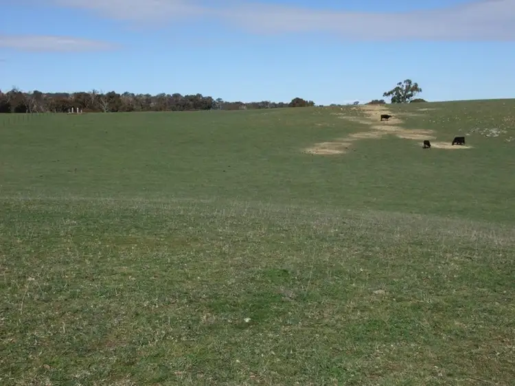 Fifth view of Homely rural property listing, 0 Goulburn Road, Bathurst NSW 2795