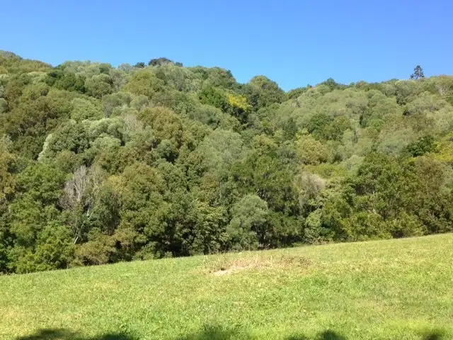 Main view of Homely land listing, 7 Mango Lane, Currumbin Valley QLD 4223