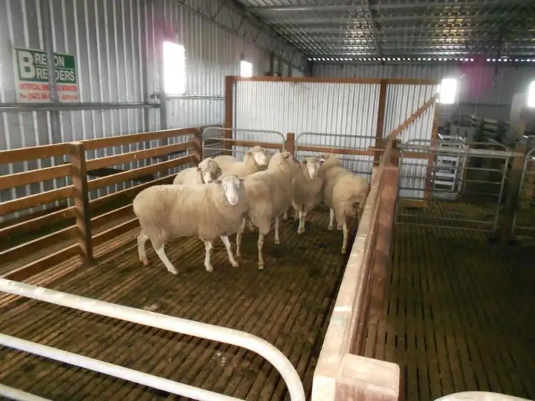 Sixth view of Homely rural property listing, 546 Kirra Road, Keith SA 5267