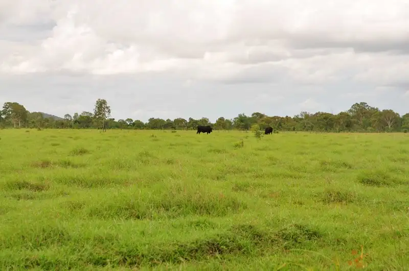 Main view of Homely rural property listing, "St Clair" Princhester Siding, Marlborough QLD 4705