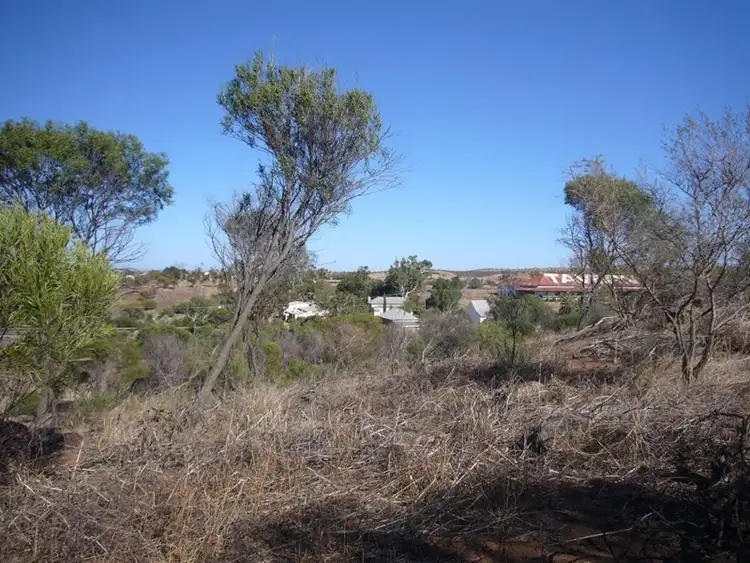 Fifth view of Homely land listing, 29 John Street, Northampton WA 6535