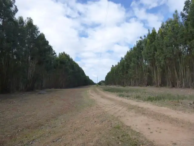 Second view of Homely rural property listing, L1849 Kwornicup Road, Mount Barker WA 6324