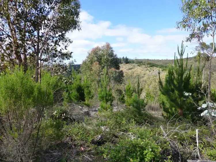 Second view of Homely rural property listing, Address available on request