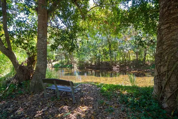 Fourth view of Homely rural property listing, 24-26 Appaloosa Street, Gordonvale QLD 4865