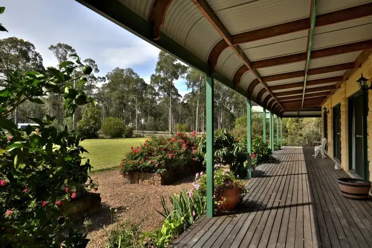Third view of Homely rural property listing, 257a Gannet Road, Nowra Hill NSW 2540