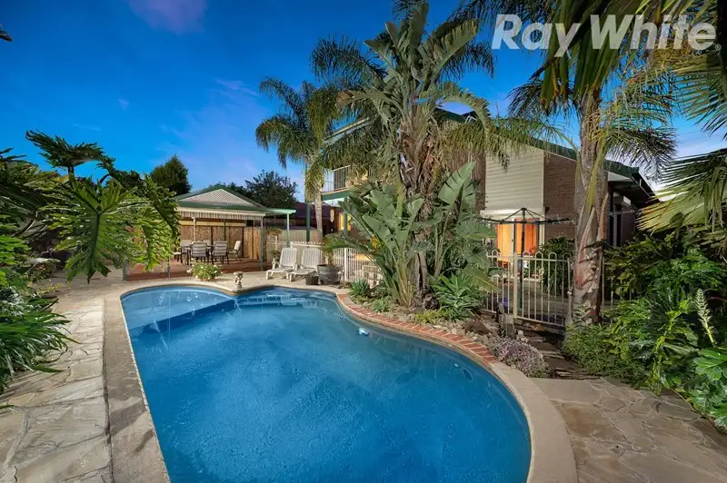 Main view of Homely house listing, 113 Cabernet Crescent, Bundoora VIC 3083