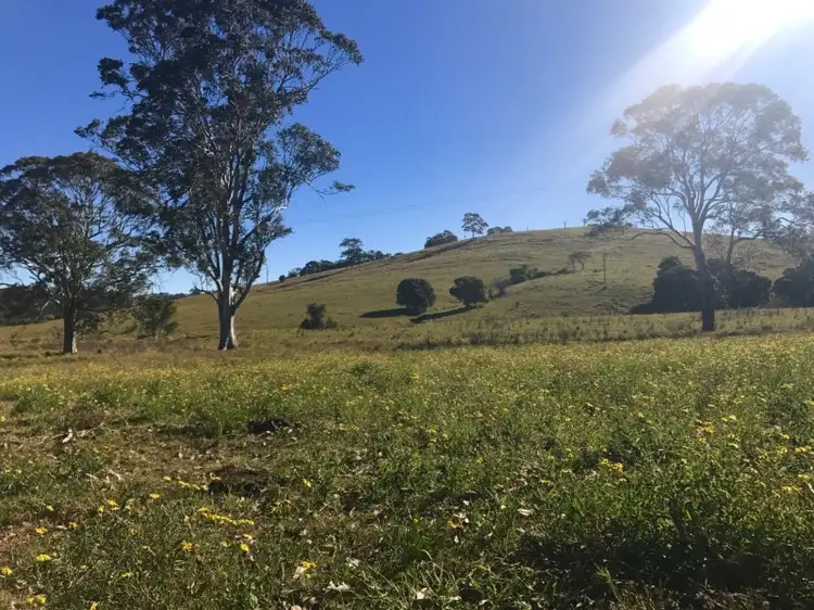 234 Marshdale Road, Dungog NSW 2420