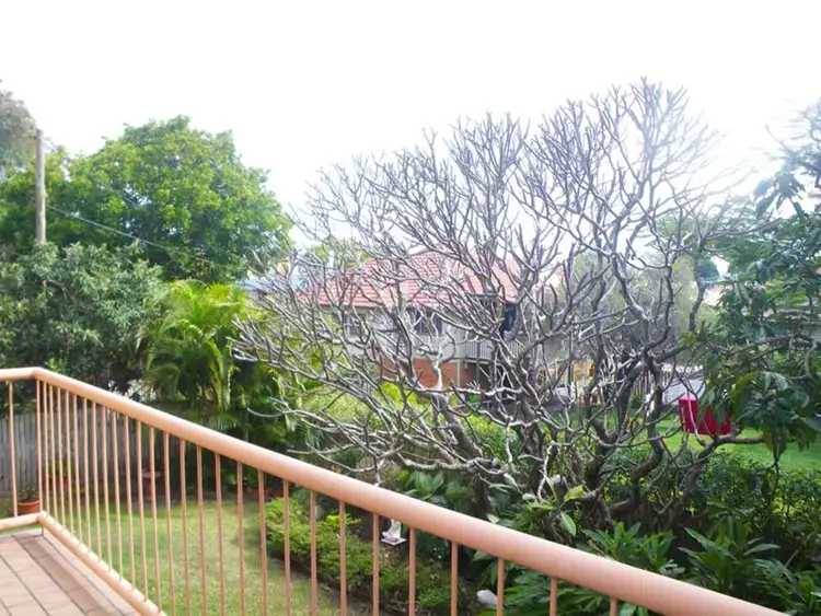 Seventh view of Homely apartment listing, 3/50 Douglas Street, Greenslopes QLD 4120