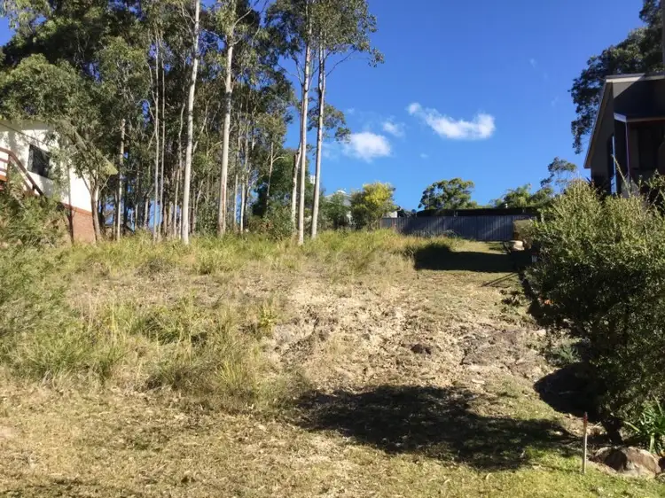 49 Whimbrel Drive, Nerong NSW 2423