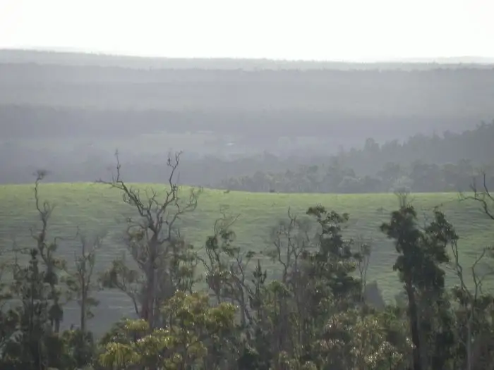 Sixth view of Homely rural property listing, Lot 701 Gold Gully Road, Nannup WA 6275