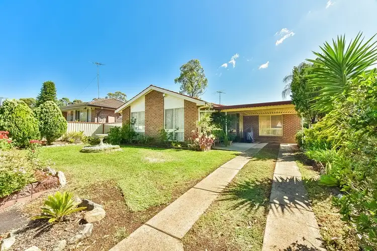 25 Cestrum Avenue, Macquarie Fields NSW 2564