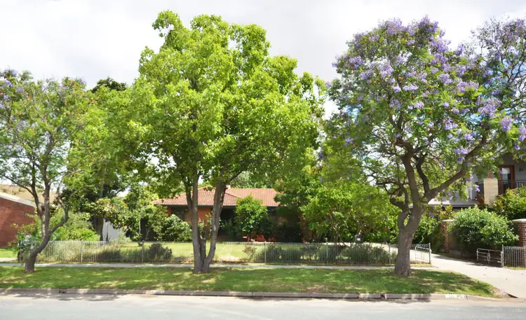 Fourth view of Homely house listing, 38 Blair Street, Moama NSW 2731
