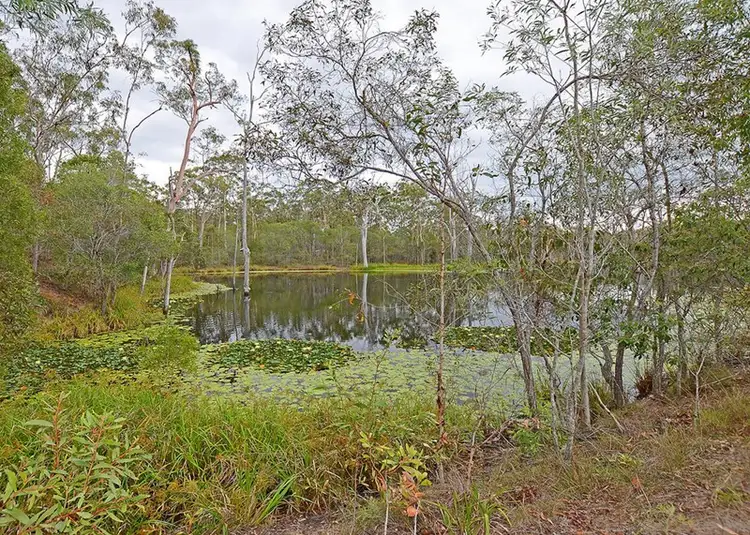 Third view of Homely house listing, 1 Brenda Court, Torbanlea QLD 4662