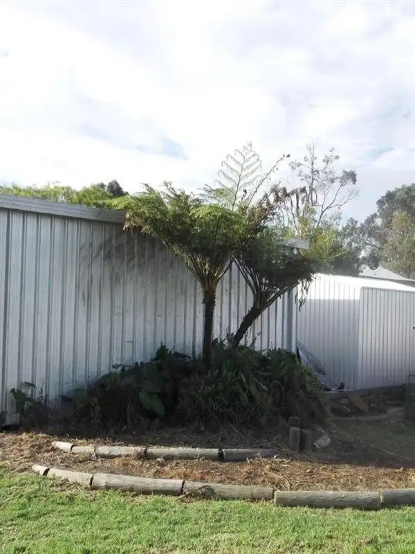 Sixth view of Homely house listing, 12 Booth Street, Mount Barker WA 6324