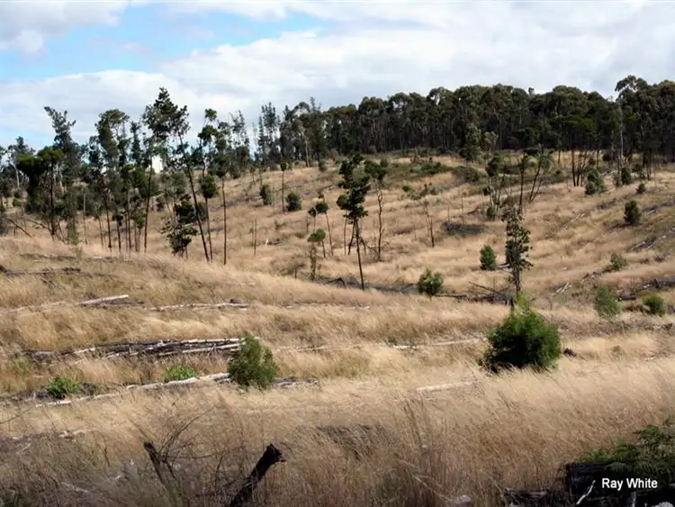 Main view of Homely rural property listing, 5685 Back Creek Road, Braidwood NSW 2622