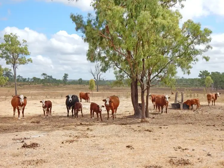Fourth view of Homely rural property listing, 1541 Coonambula Road, Coonambula QLD 4626