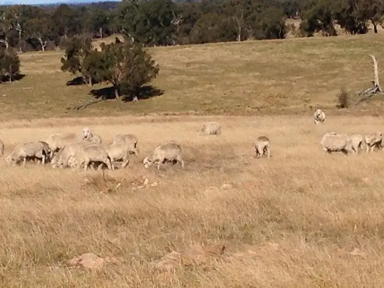 Second view of Homely rural property listing, 619, Lot 6 Lumley Road, Bungonia NSW 2580
