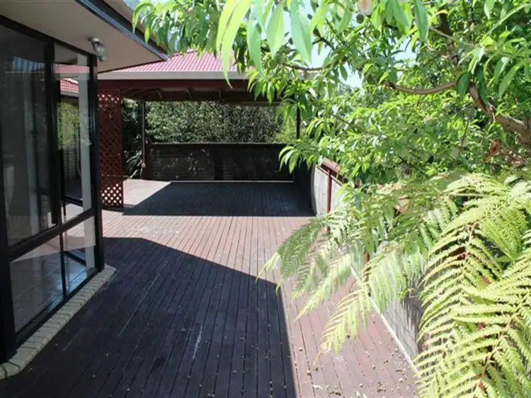 Main view of Homely house listing, 273 MacDonnell Road, Tamborine Mountain QLD 4272