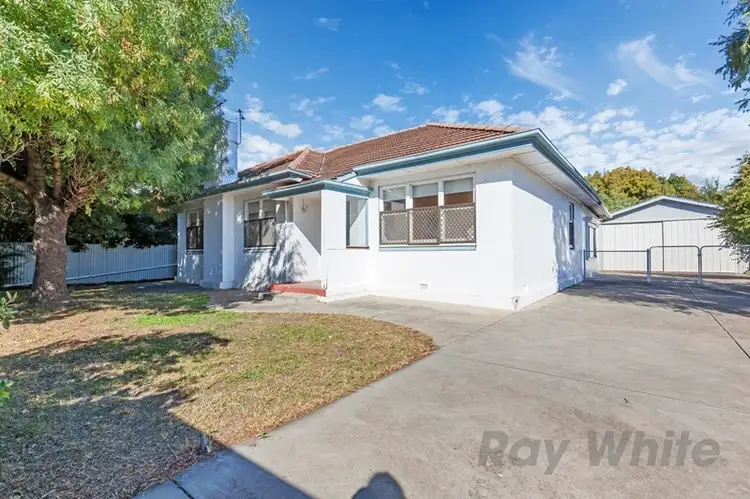 56 Angus Avenue, Edwardstown SA 5039