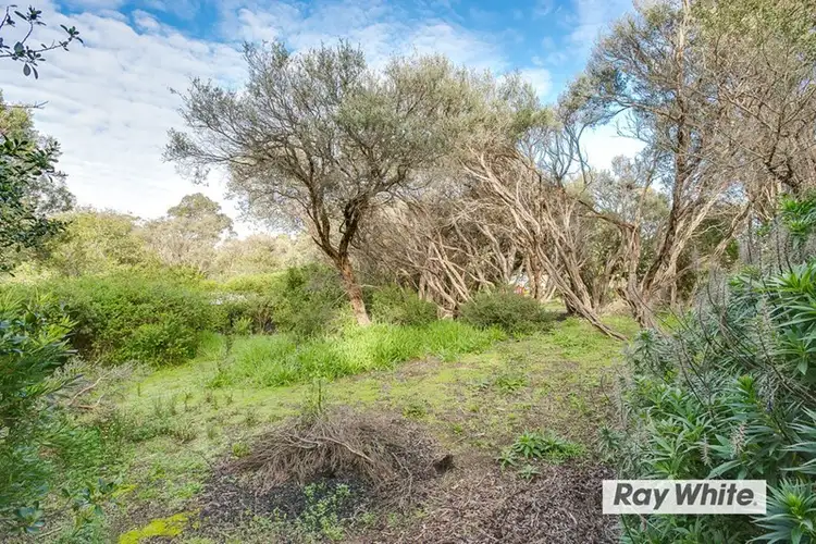 Fifth view of Homely land listing, 13 Rodney Street, Rye VIC 3941