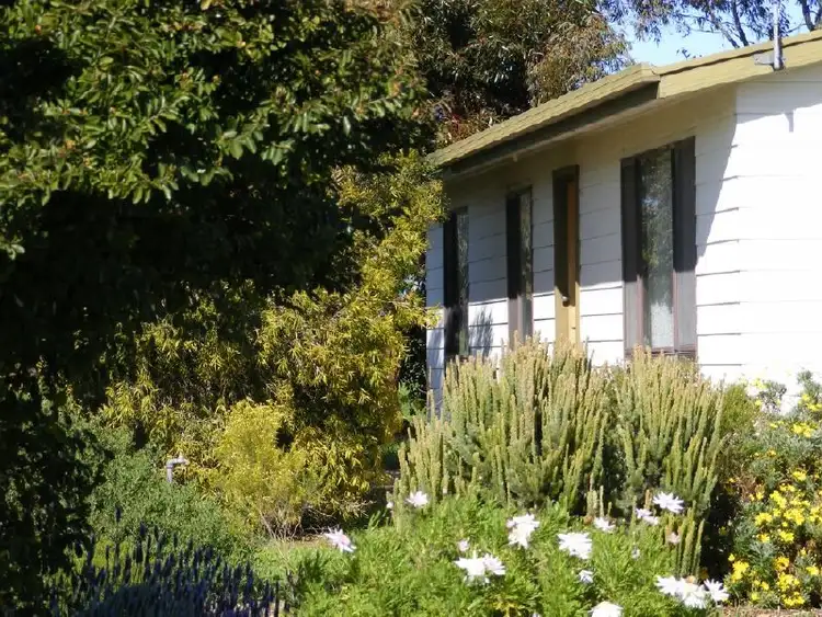 Seventh view of Homely house listing, 46 Punjum Road, Mundulla SA 5270