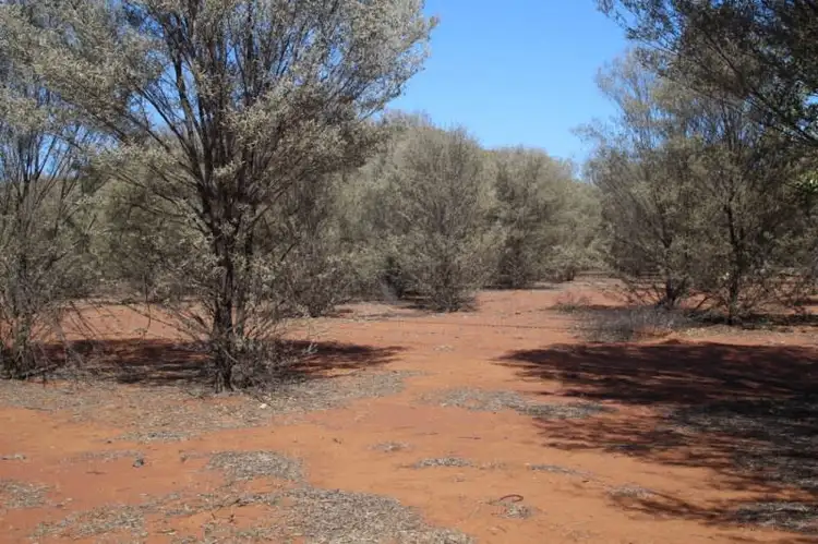 938 BOLLON Road, Charleville QLD 4470