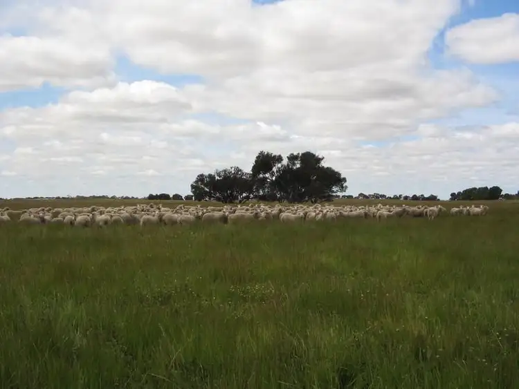 Second view of Homely rural property listing, Sec. 75 Senior Road, Bordertown SA 5268