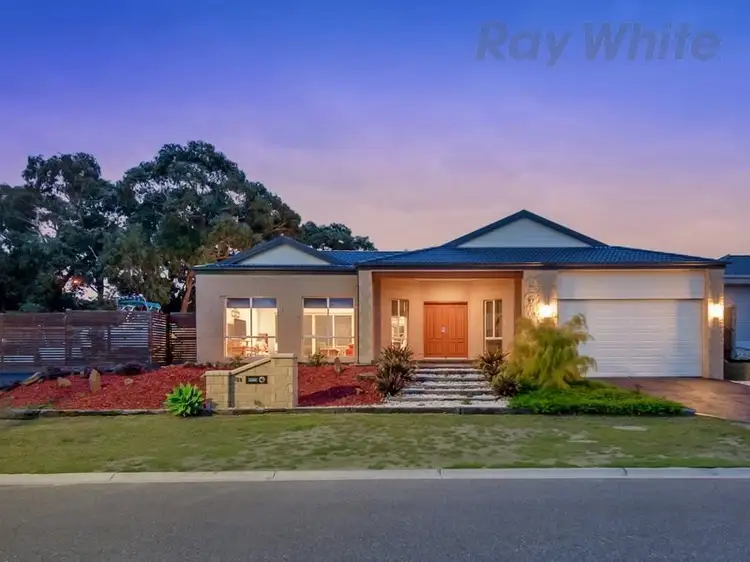 Main view of Homely house listing, 20 Tamara Circuit, Langwarrin VIC 3910