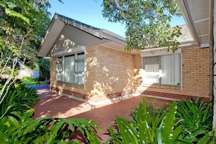 Fifth view of Homely house listing, 38 Lasscock Avenue, Lockleys SA 5032