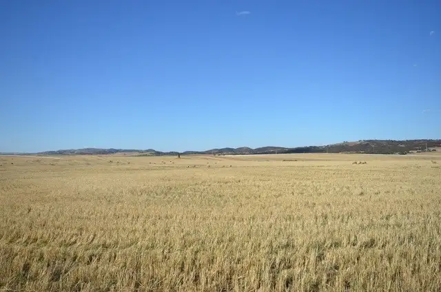 Main view of Homely rural property listing, HVandChimney Brady Creek and Kotz Road, Robertstown SA 5381