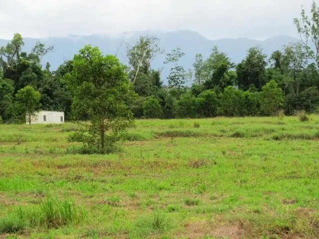 Main view of Homely land listing, Lot 163 Raes Road, Abergowrie QLD 4850