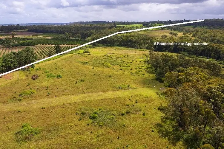 Fifth view of Homely rural property listing, 1992 Wisemans Ferry Road, Mangrove Mountain NSW 2250