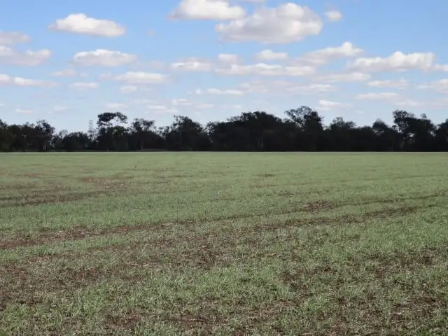 Seventh view of Homely rural property listing, "Lochlea" Mason Road, Bowenville QLD 4404