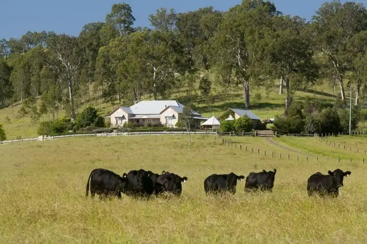 Second view of Homely rural property listing, 273 Hanleys Creek Road, Dungog NSW 2420
