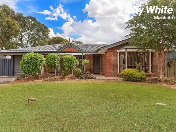 38 Roseworthy Drive, Andrews Farm SA 5114