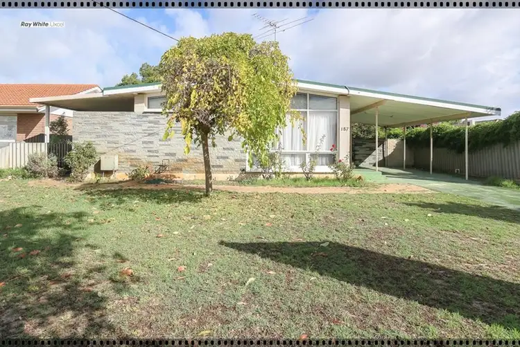 187 Crimea Street, Morley WA 6062
