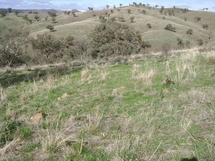 Third view of Homely rural property listing, Lot 50 Pride of Oak Road, Canowindra NSW 2804