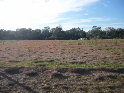 Fifth view of Homely land listing, Lot 30 Billabong Creek Drive, Conargo NSW 2710