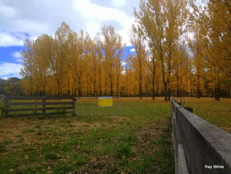 Fifth view of Homely rural property listing, 1866 Cooma Road, Braidwood NSW 2622