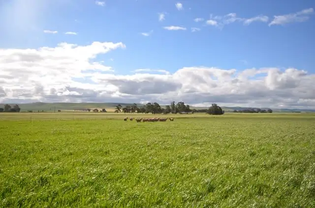 Fourth view of Homely land listing, Lot 644 Penshurst Road, Booborowie SA 5417
