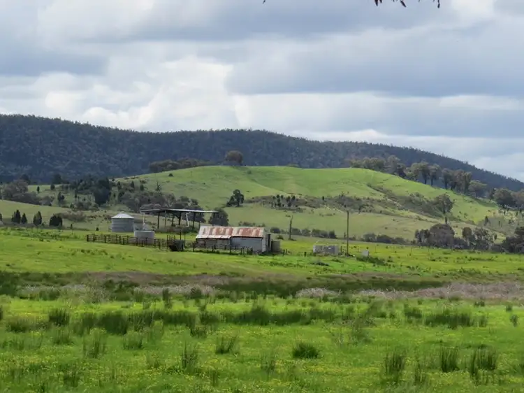 Fourth view of Homely rural property listing, 2154 Kangarooby Road, Gooloogong NSW 2805