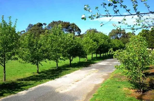 Second view of Homely house listing, 39-45 Sproat Street, Drysdale VIC 3222