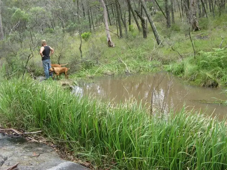 Second view of Homely rural property listing, "Thunderbolt Springs" Coonoor Road, Barraba NSW 2347