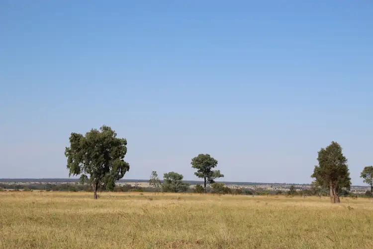 Seventh view of Homely rural property listing, 0 BURRADOO, Roma QLD 4455