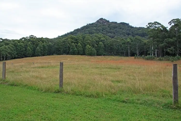 Third view of Homely rural property listing, 299 Riddles Brush Road, Johns River NSW 2443