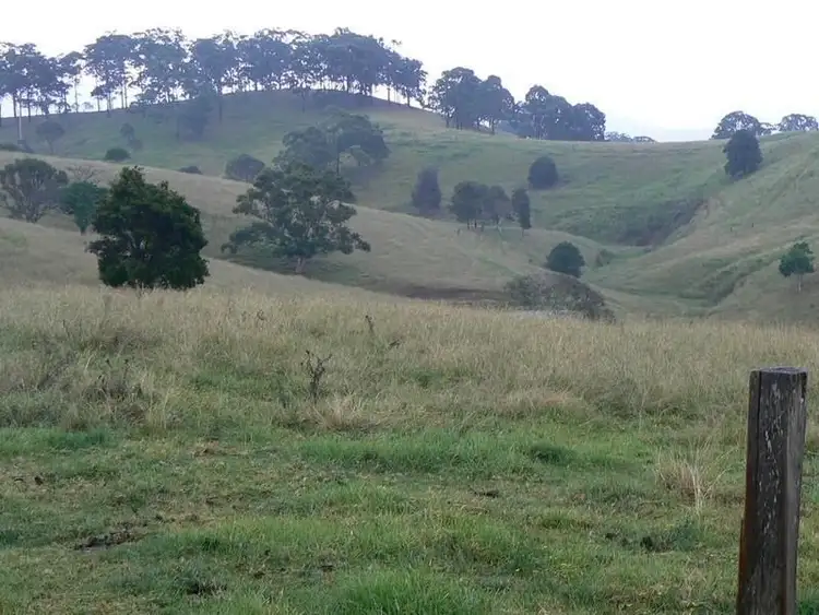 Seventh view of Homely rural property listing, 653 Bunyah Road, Wingham NSW 2429