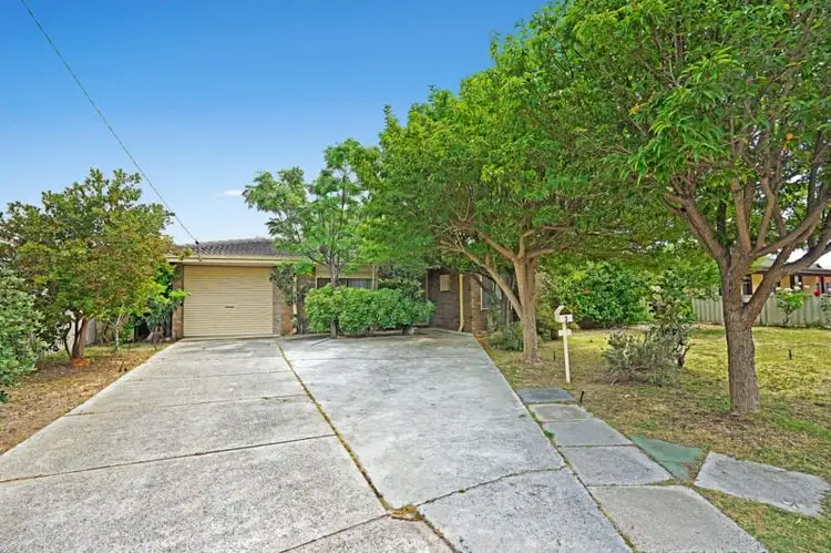 3 Tench Place, Mirrabooka WA 6061