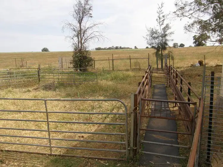 Sixth view of Homely rural property listing, 821 Scenic Drive, Manildra NSW 2865