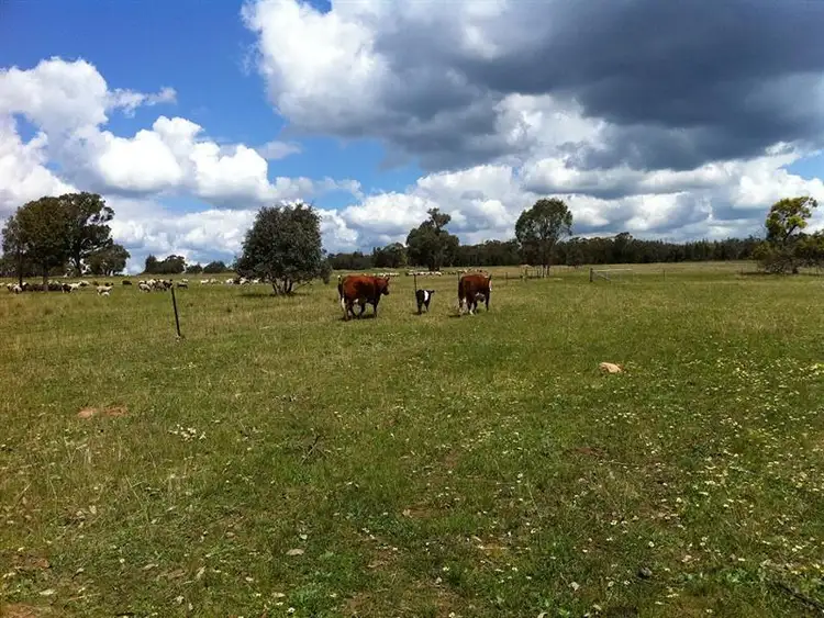 Third view of Homely rural property listing, 315 Chatmans Road, Parkes NSW 2870