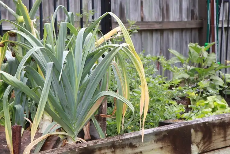 Seventh view of Homely house listing, 2 Coolabah Crescent, Tea Gardens NSW 2324